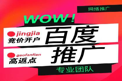 谷歌SEM案例研究：数据分析与效果评估