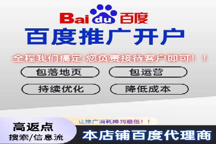 成功案例：如何通过百度推广优化提高转化率